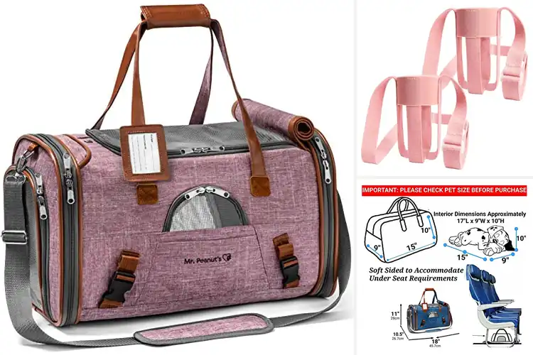 Detailed view of Best Carrier Compatibility: Find Your Perfect Match Today